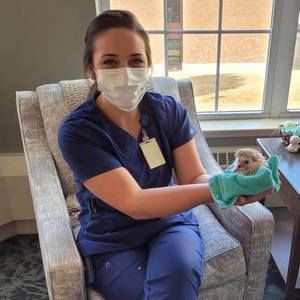 Meet your Posher, Rachel